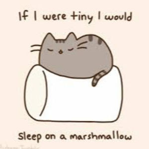 Meet your Posher, Katrina